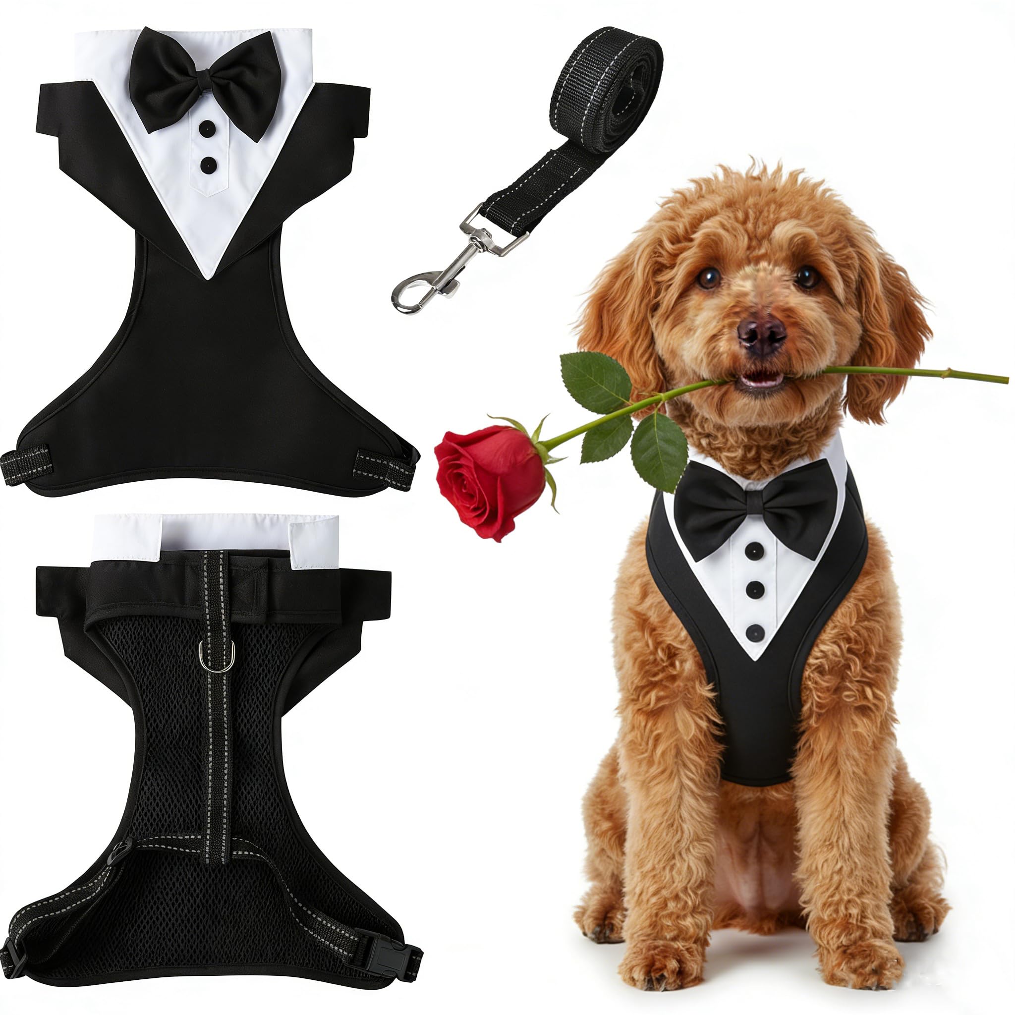 Dog Harness and Lead Set, Tuxedo Style Secure Step-in No Pull Padded Adjustable for Small Medium Dog Puppy Cat French Bulldog, Black M — image 1