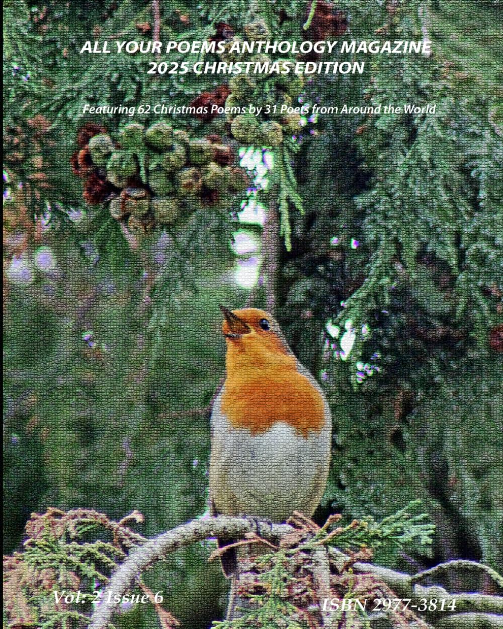 All Your Poems Anthology Christmas 2025: with Full Colour Illustrations