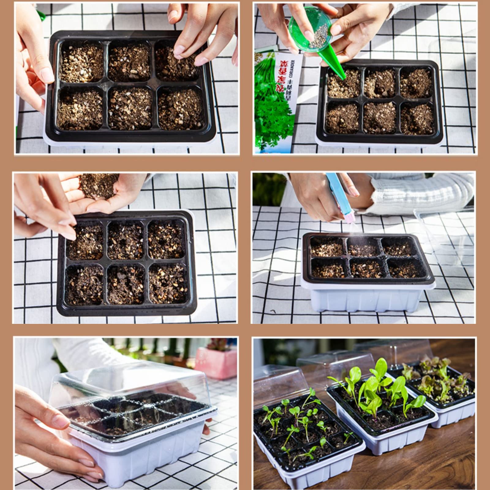 6 Pièces Bac à semis, Mini Serre pour Plantes Intérieure Plateau de Germination à 12 cellules Pépinière Boîte Propagateur avec Couvercle pour Jardin Croissance Semence