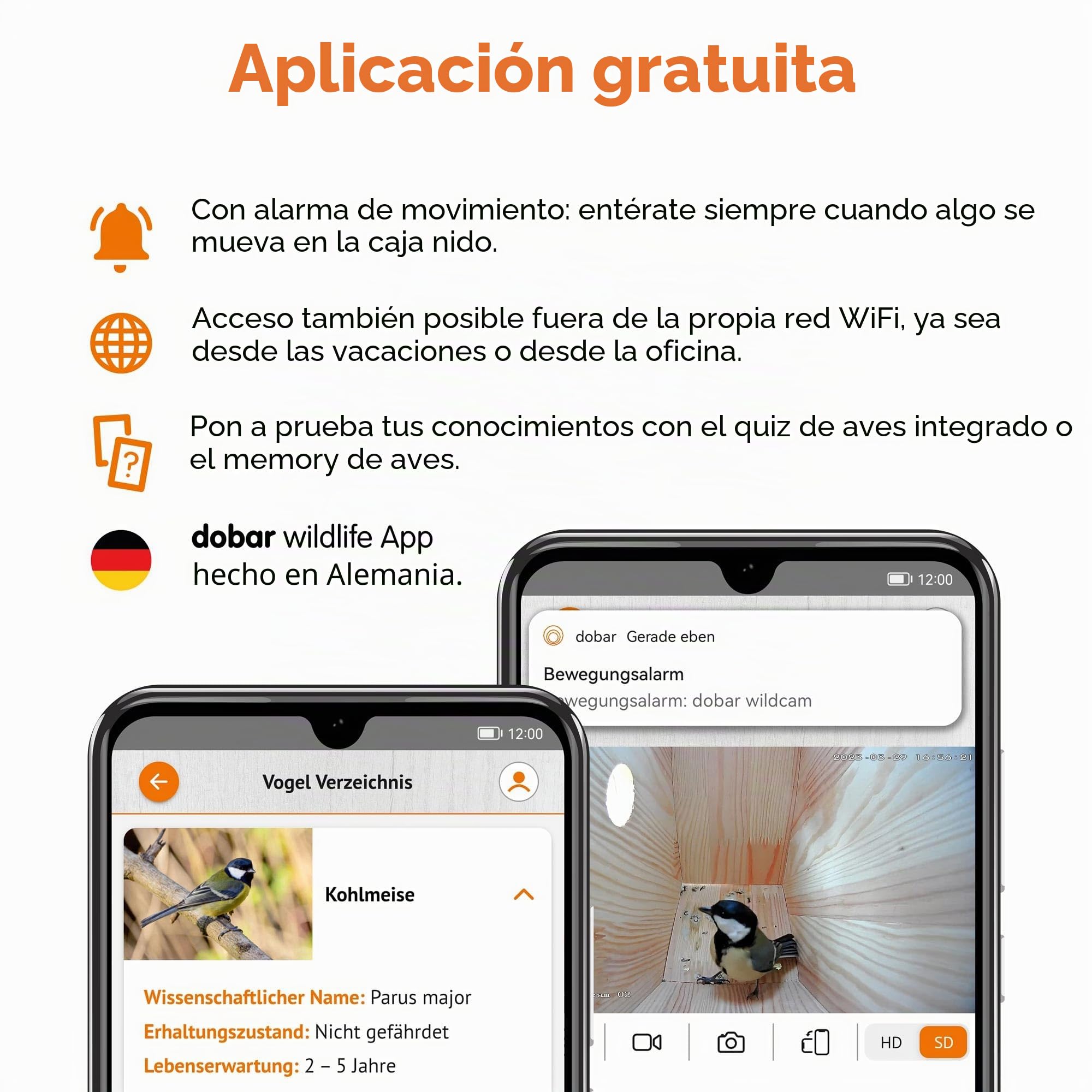 dobar® Nido Eazy con cámara WiFi y Panel Solar, observación de Aves, con Ayuda para anidar de Madera y aplicación, diámetro de 30 mm, Color Verde