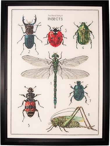 Thea Gouverneur - Kit de punto de cruz contado - La historia de los insectos - Aida - 14 unidades - Kit de bordado para adultos - Hilos de bordado