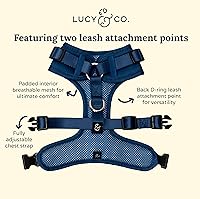 Vista 71 de Lucy & Co. Arnés para perro Midnight No-Pull – Talla M – Chaleco para dejar de tirar y caminar fácil – Cómodo producto de entrenamiento de correa
