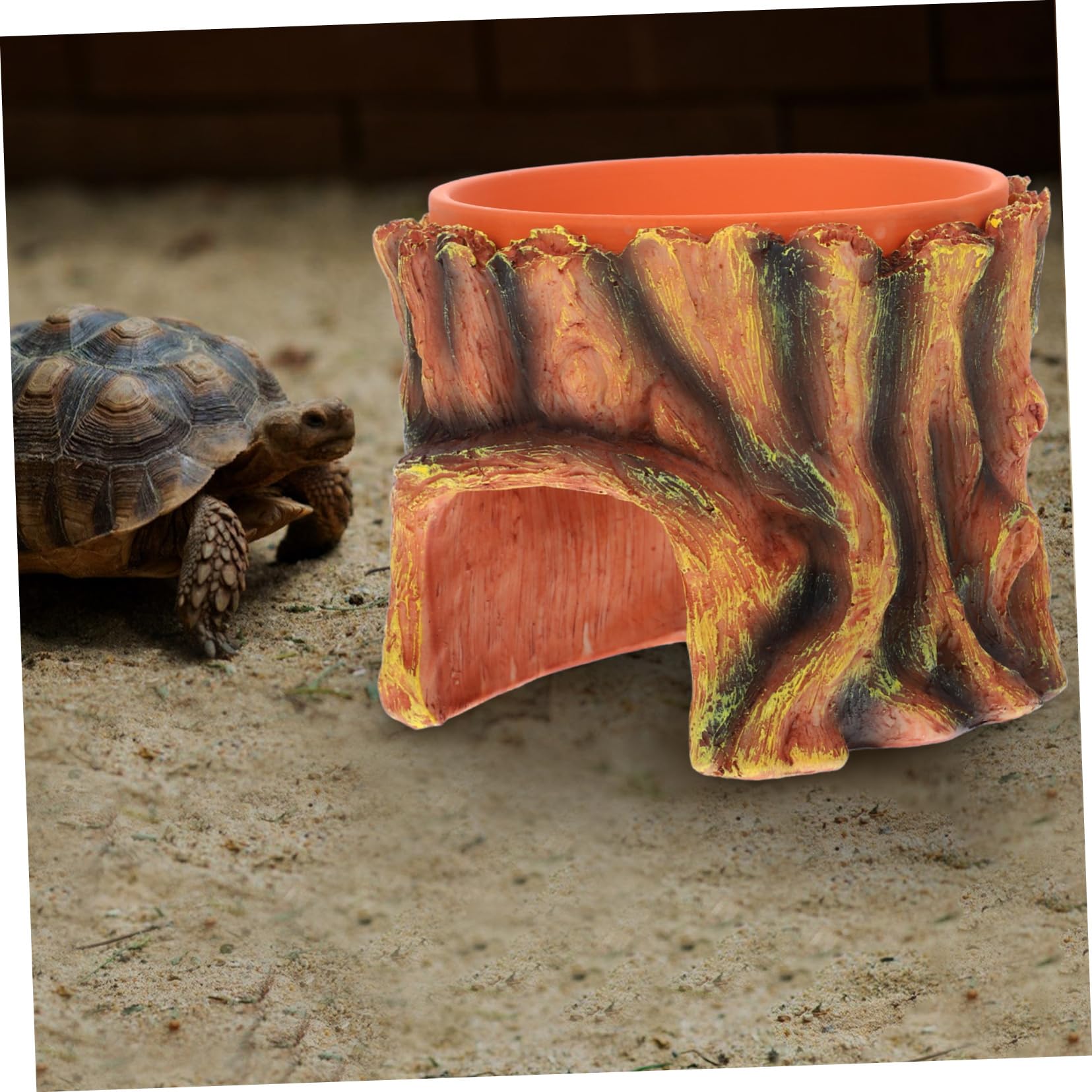 Per Rettili Per Gechi Leopardini e Decorativo Per Terrario Accessorio Per Acquari e Habitat Per Rettili e Facile Installare