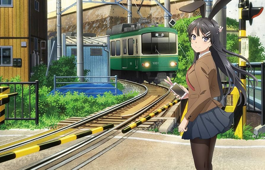 Amazon.co.jp: 青春ブタ野郎はバニーガール先輩の夢を見ない 1