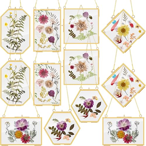 12 marcos de vidrio de latón para flores prensadas, marcos de fotos colgantes con cadena, marco de vidrio doble transparente, marco flotante dorado,