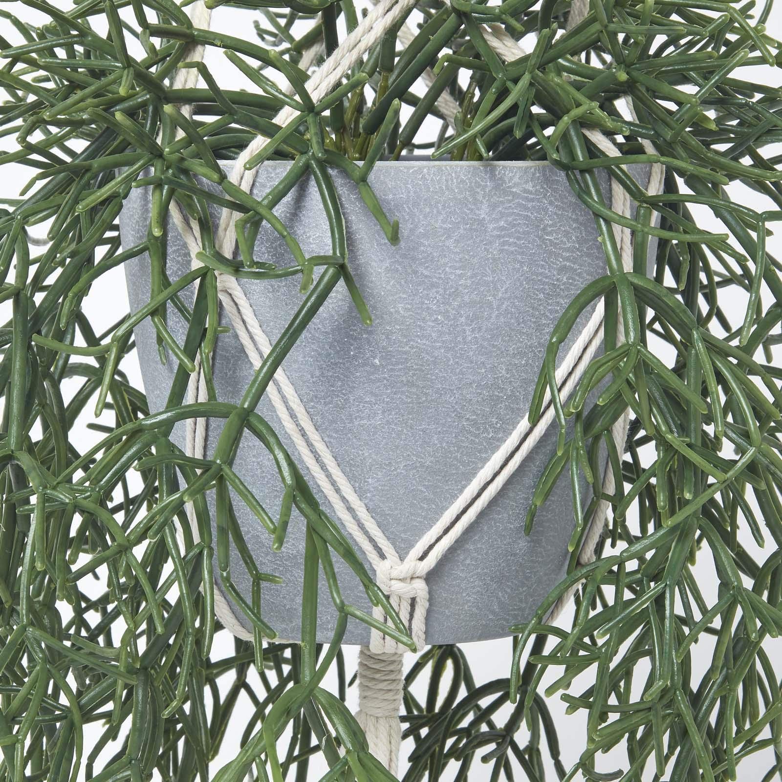 Homescapes hängende Kunstpflanze im Topf mit Makramee-Blumenampel zum Aufhängen, künstliche Hängepflanze Rhipsalis mit Melamin-Topf, künstliche Pflanze, Korallenkaktus im Pflanzenampel, 116 cm