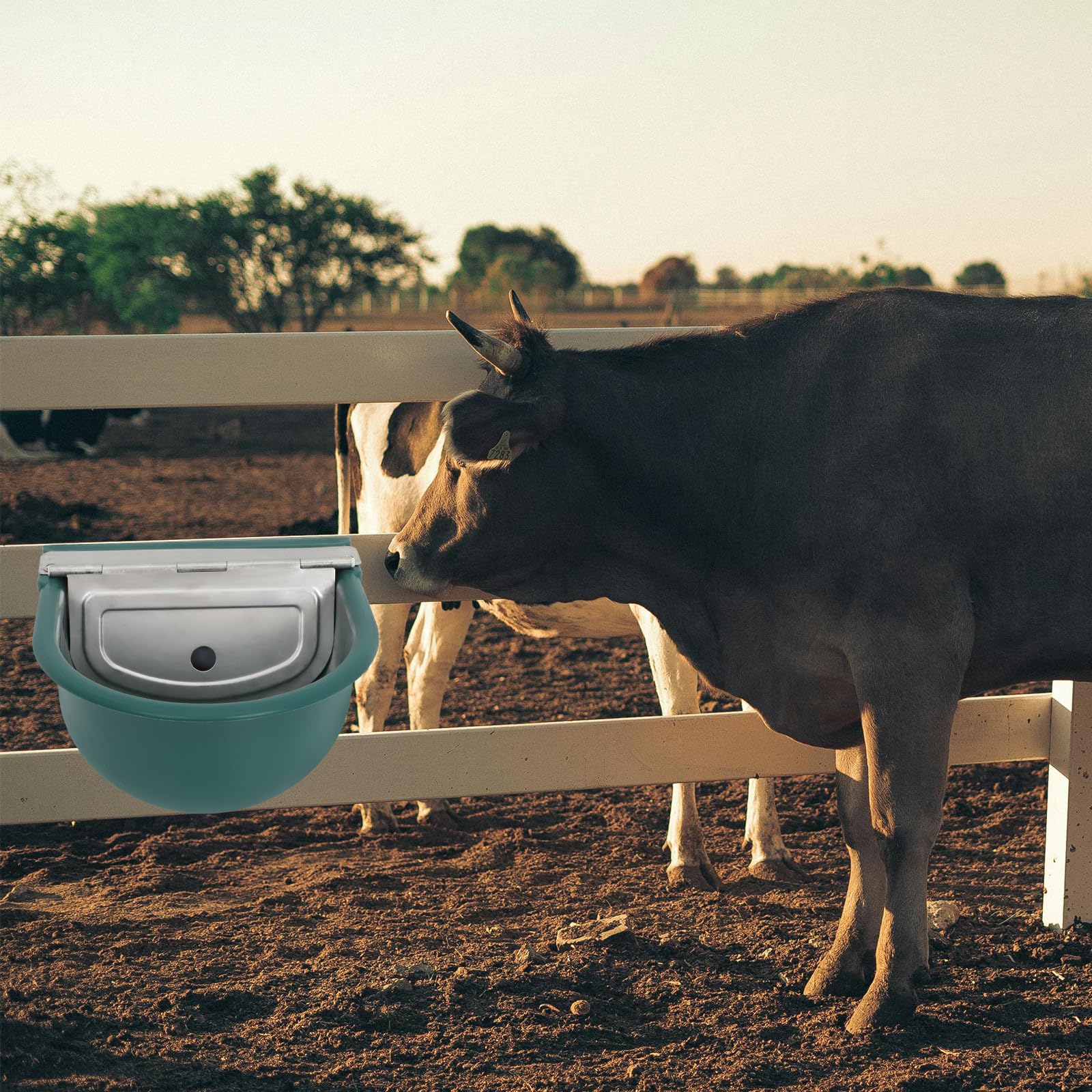 Ciotola Automatica per Acqua per Bovini e Cani da Fattoria Verde