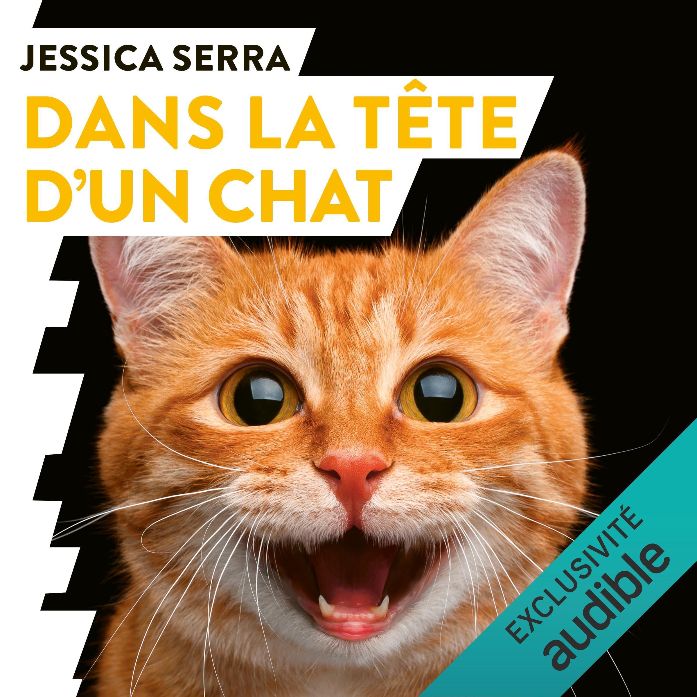 Dans la tête d'un chat