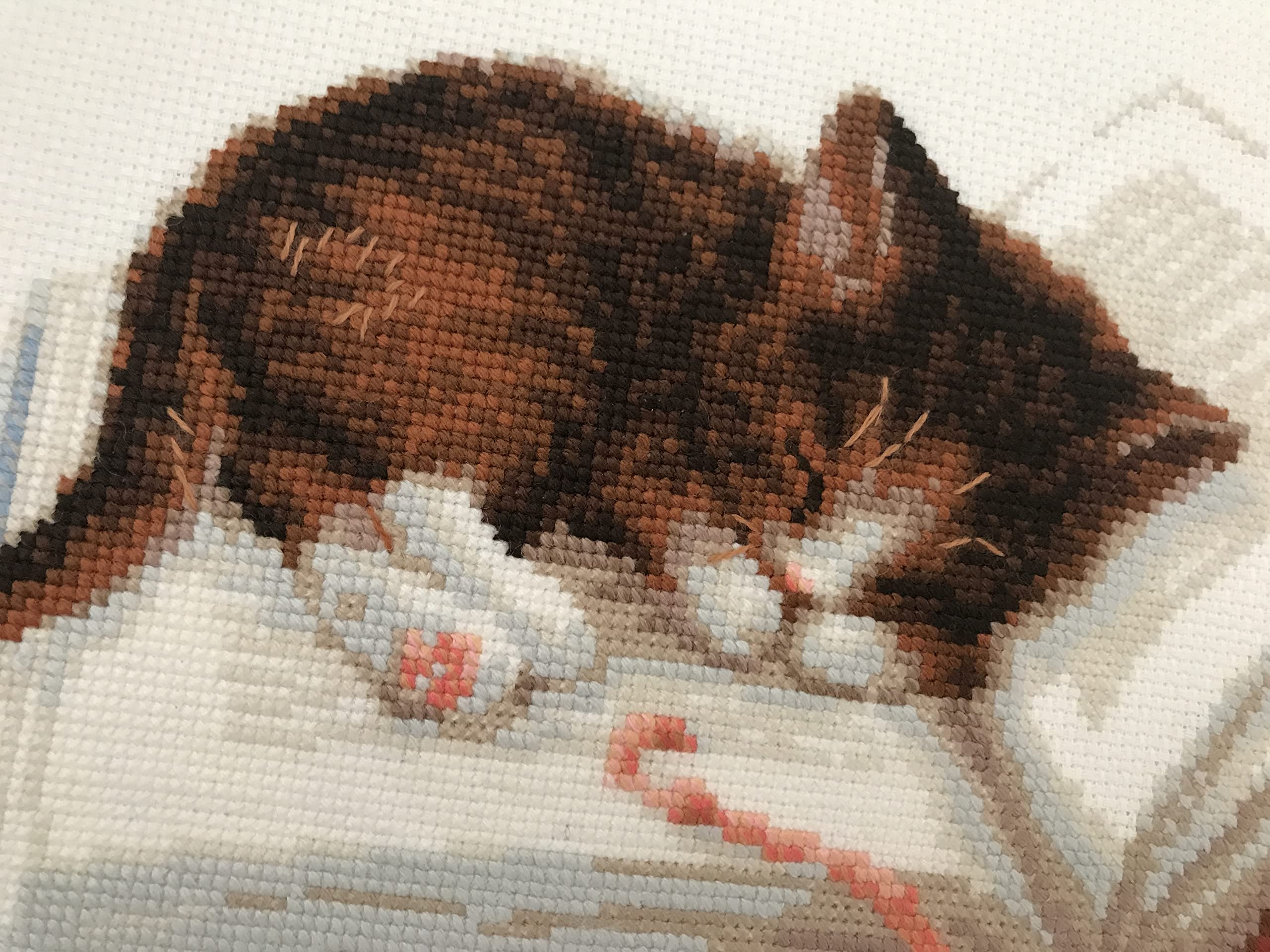 手芸素材・材料 クロスステッチ【DIMENSIONS】Kitten in the Window