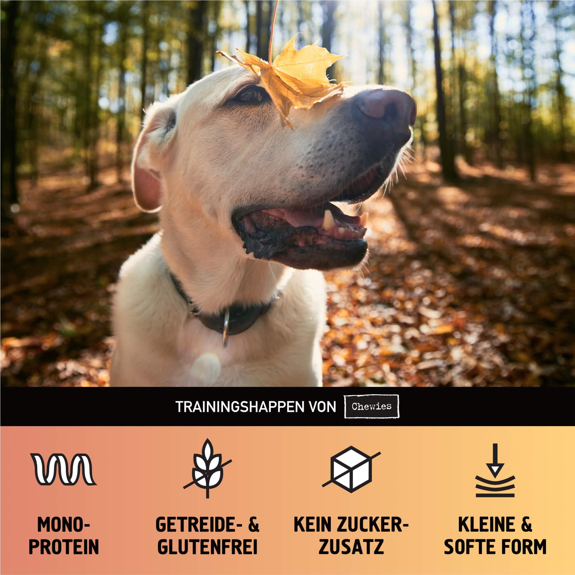 Chewies Trainings-Happen Mélange de friandises pour Chien sans céréales, Douces et sans Sucre – Friandises monoprotéines pour Chien dans Un Seau refermable – Fabriqué en Allemagne (6 x 300 g)