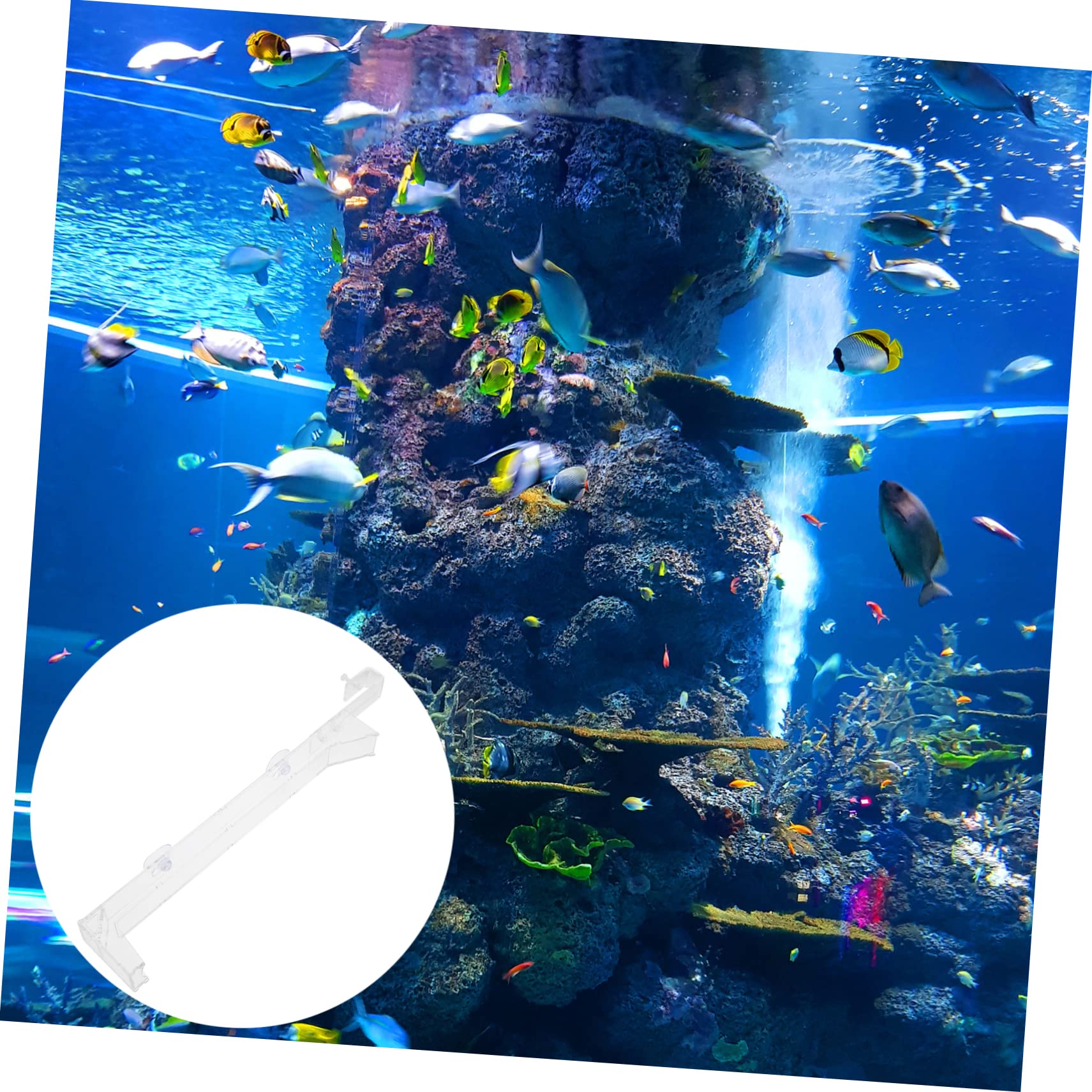 Kisangel 2pièces Tube Transparent pour Alimentation De Crevettes Outil De Nourriture Aquatique avec Échelle pour Éviter Le Surdosage Convient pour Crevettes Sang Et Larves Accessoire