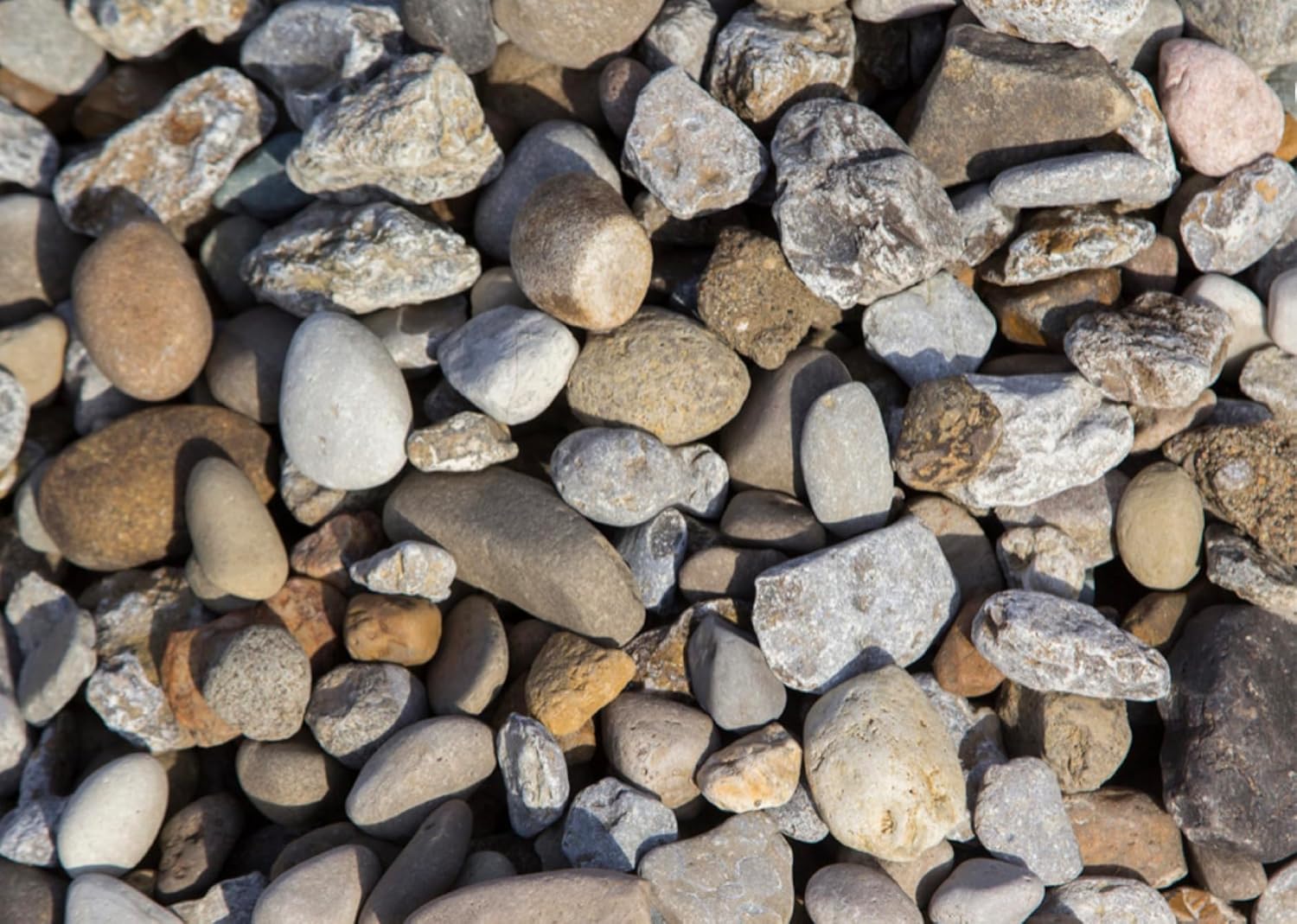 Large River Rock – Gravel Company South Fork 1.5'' for Drainage, Erosion Control, Creek Beds & Landscape Accents – Natural Rounded Stone (40 lbs)