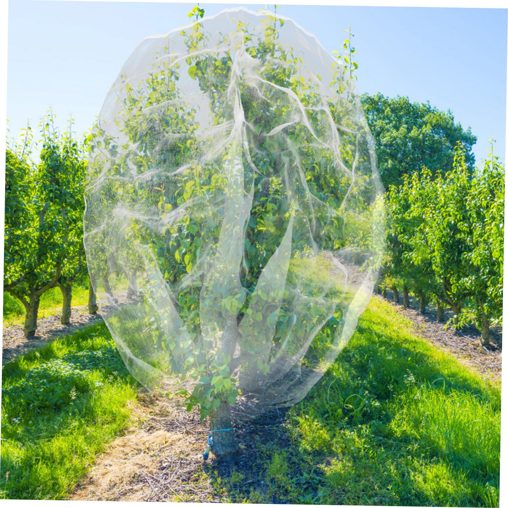 POPETPOP Rete Protettiva per Alberi da Frutto, Sacchetto in Pe Bianco con Coulisse e Cerniera, Barriera Contro Uccelli e Scoiattoli per Giardino
