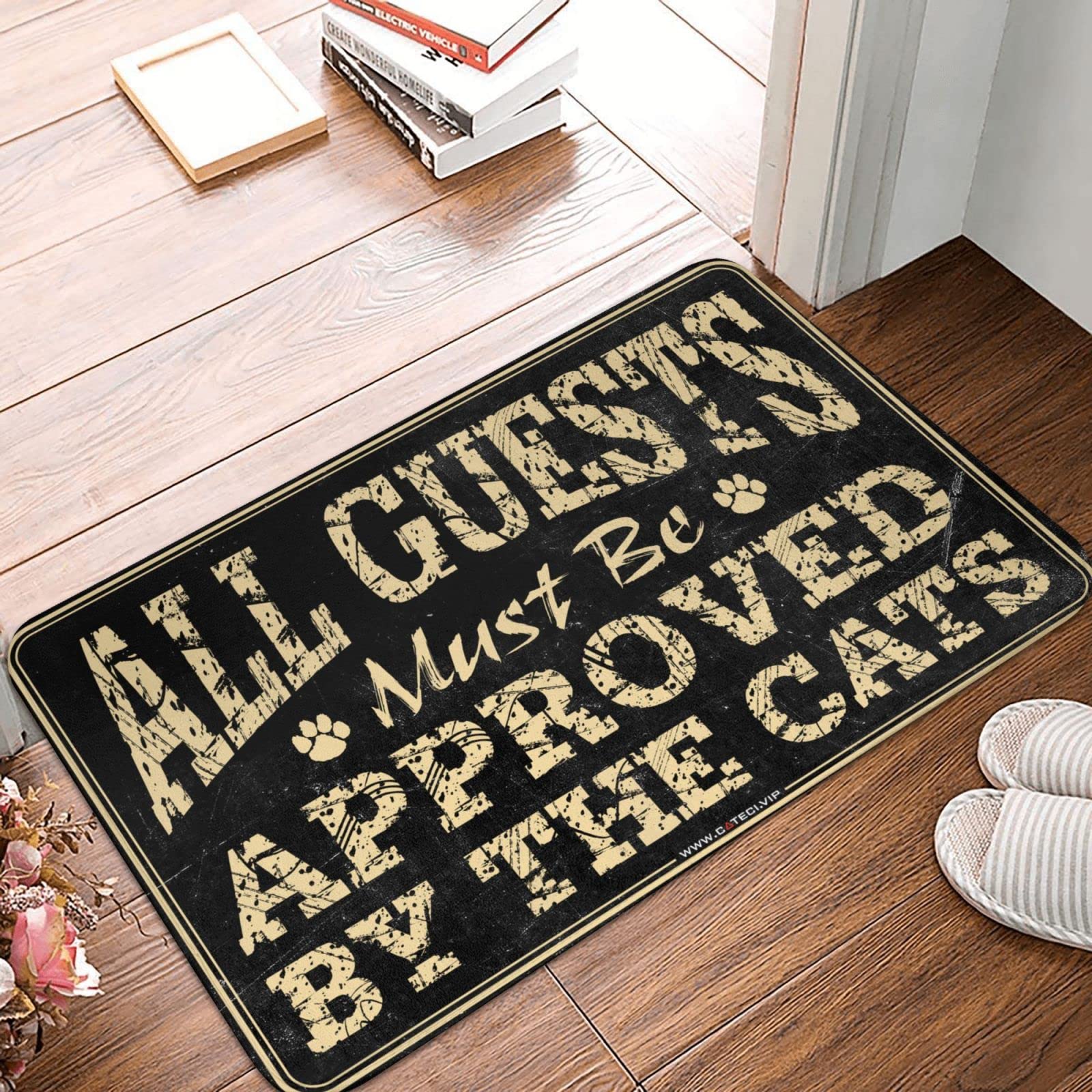 Tapis de porte chat humour 65x90 pour entrée accueillante et propre
