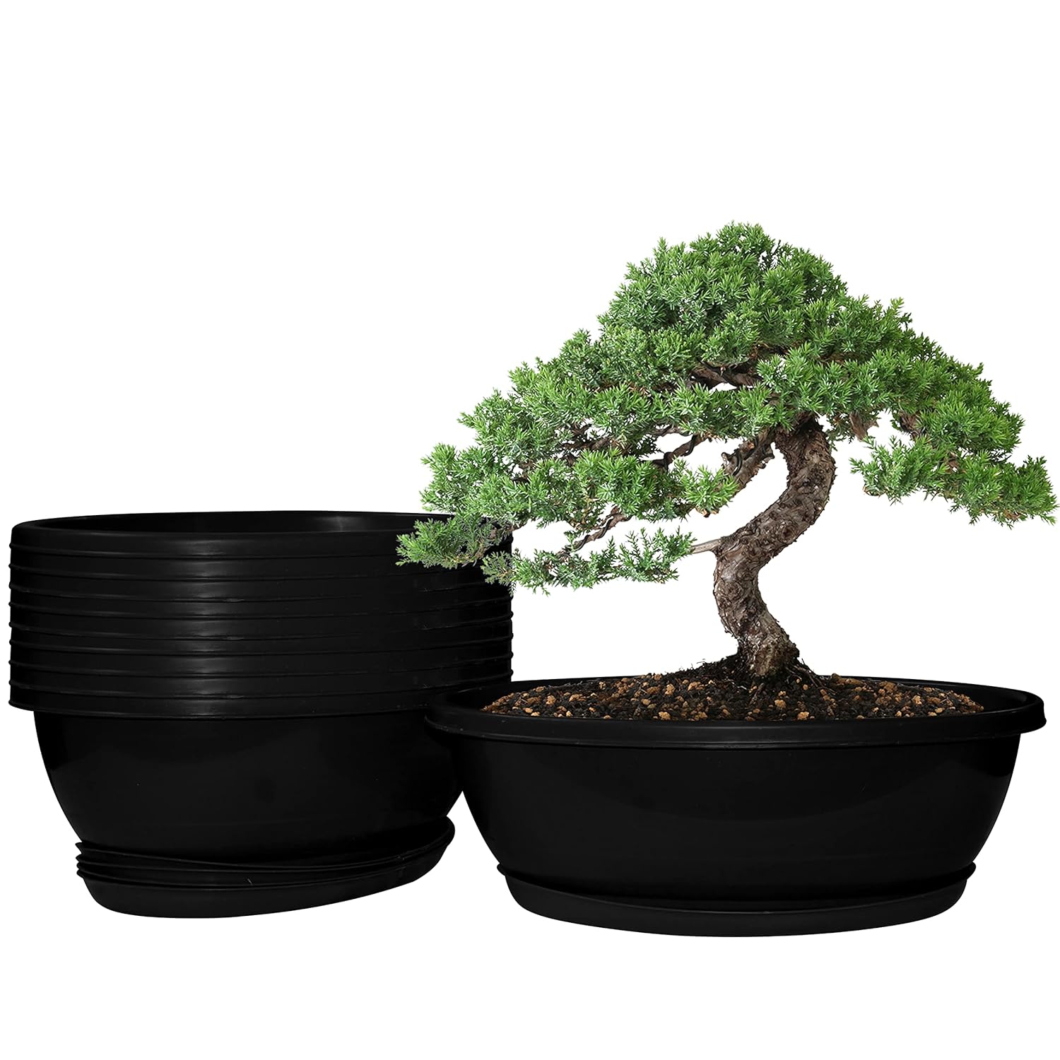 Aura 10 Pieces 15" Oval Bonsai Plant Pots with Trays, Virgin Plastic Bonsai Pots, Flower