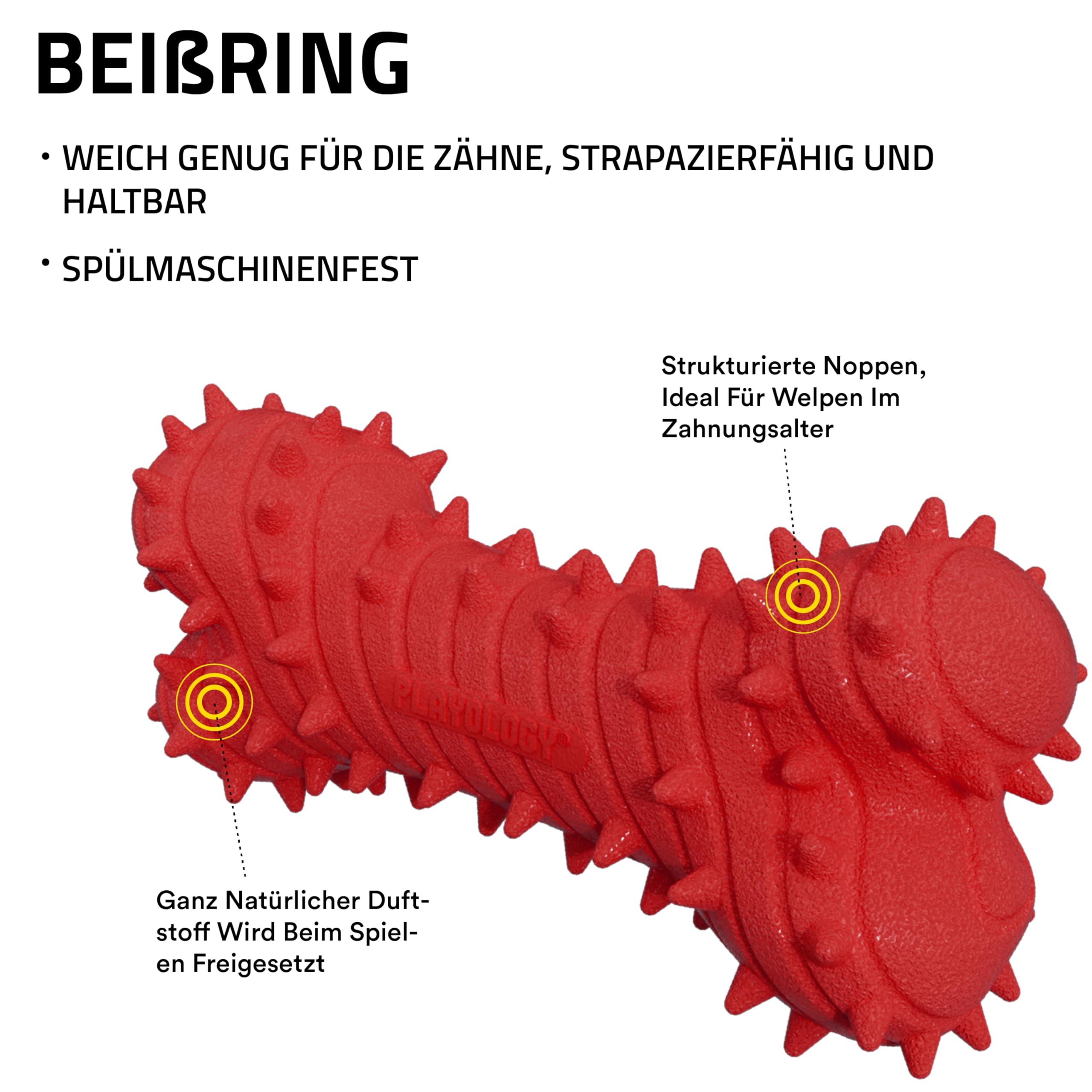 Playology Hundespielzeug | Spielzeug für Welpen in Form eines Kauknochens, entwickelt für Junge und aktive Hunde | Riesiges Spielzeug mit Rindfleischgeschmack, hergestellt aus ungiftigen Materialien | Ideal für Welpen und junge Hunde, Noppen beruhigen das