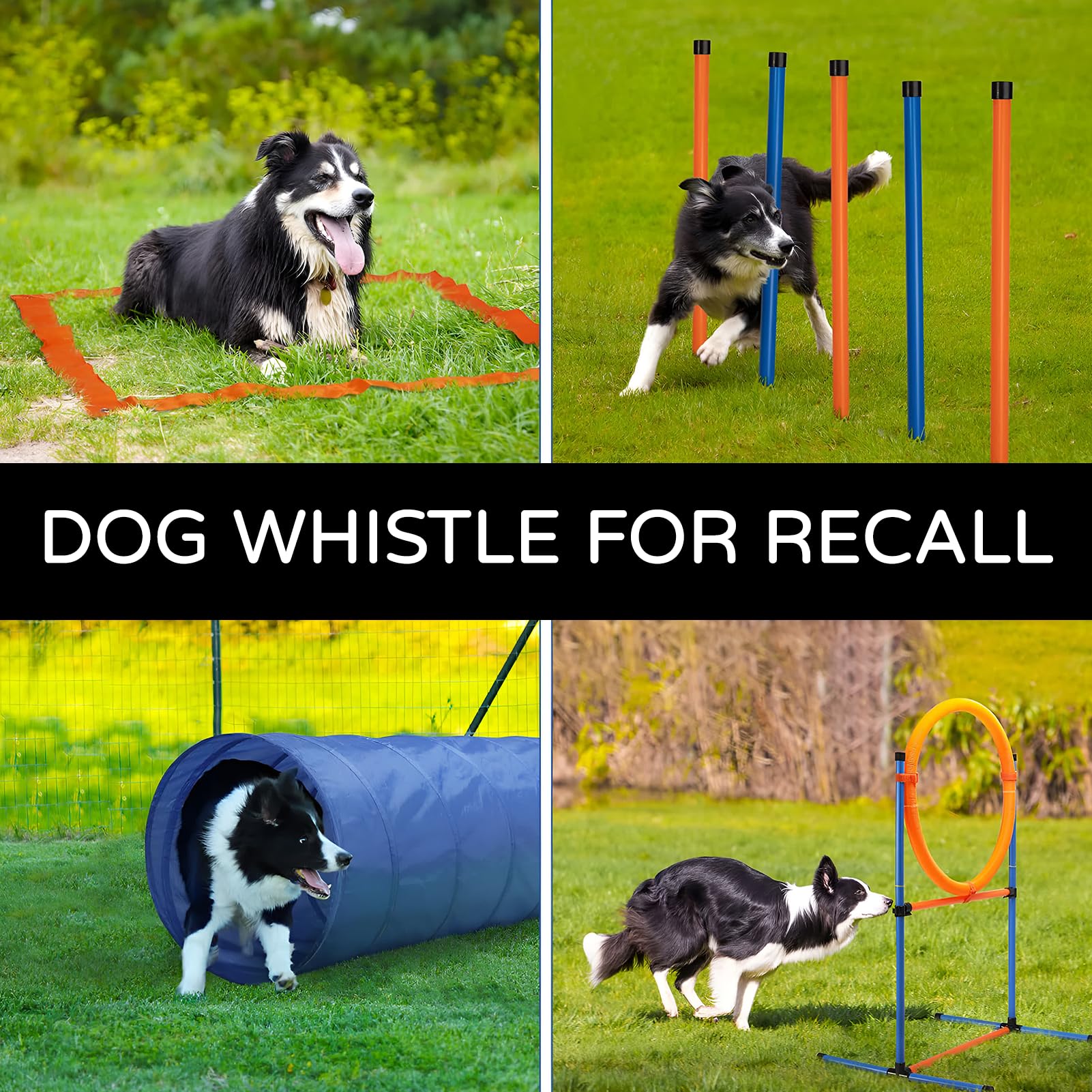 2 Pièces De Sifflet Chien,Sifflet Ultrason Chien Anti Aboiement,Sifflet pour Chien pour Le Rappel, Sifflet Ultrason Chien Anti Aboiement, RéGlable Sifflet Ultrason Chien, avec LanièRe.