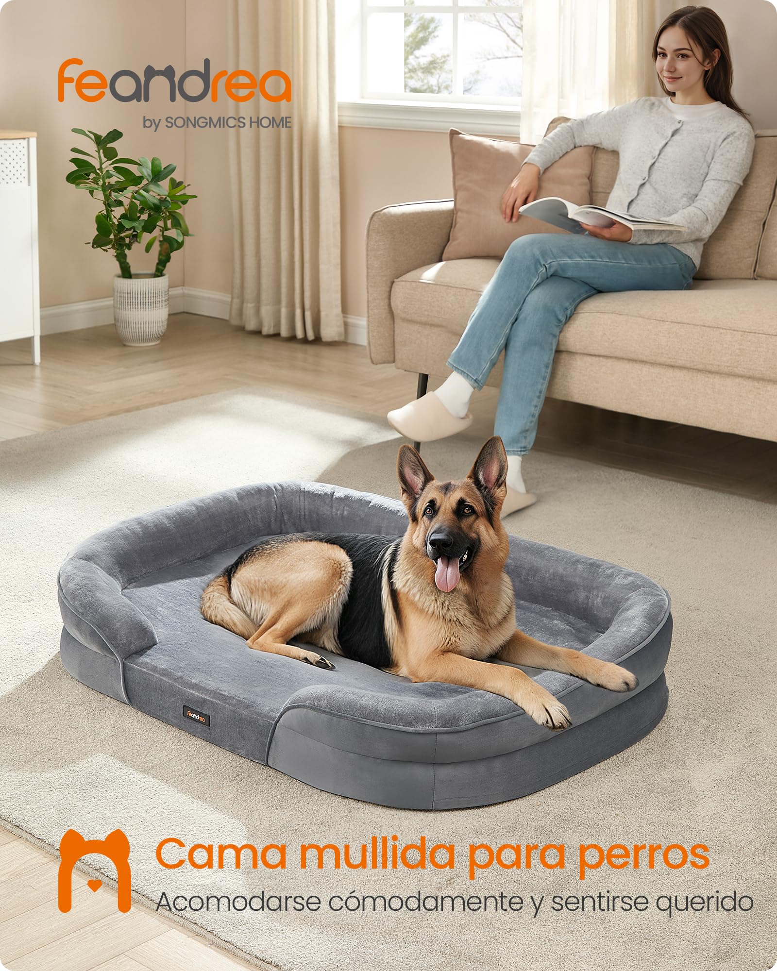Feandrea Cama para Perros Extra Grandes, 122 x 85 x 18 cm, Ortopédica, Espuma de Nido de Abeja, Forro Repelente al Agua, Bordes Elevados, Funda Extraíble y Lavable, Gris Claro PGW284G01