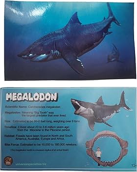 Amazon | Universal Specialties 巨大なリアルな5.5インチ カルチャ