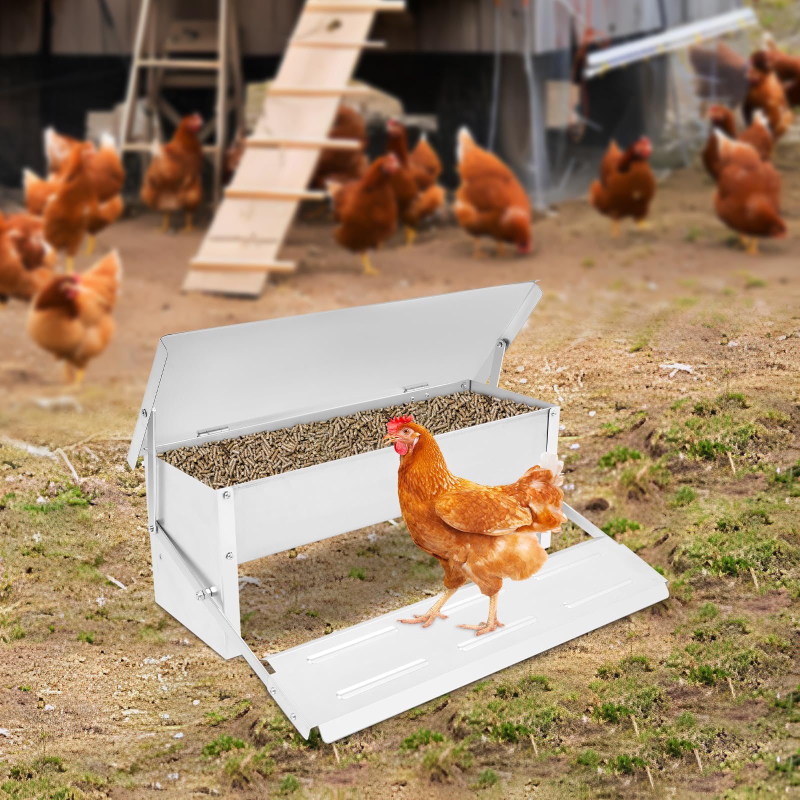 Comedero automático para gallinas, comedero automático para aves de corral de acero galvanizado, adecuado para la cría de pollos, gallinas y otras aves de corral