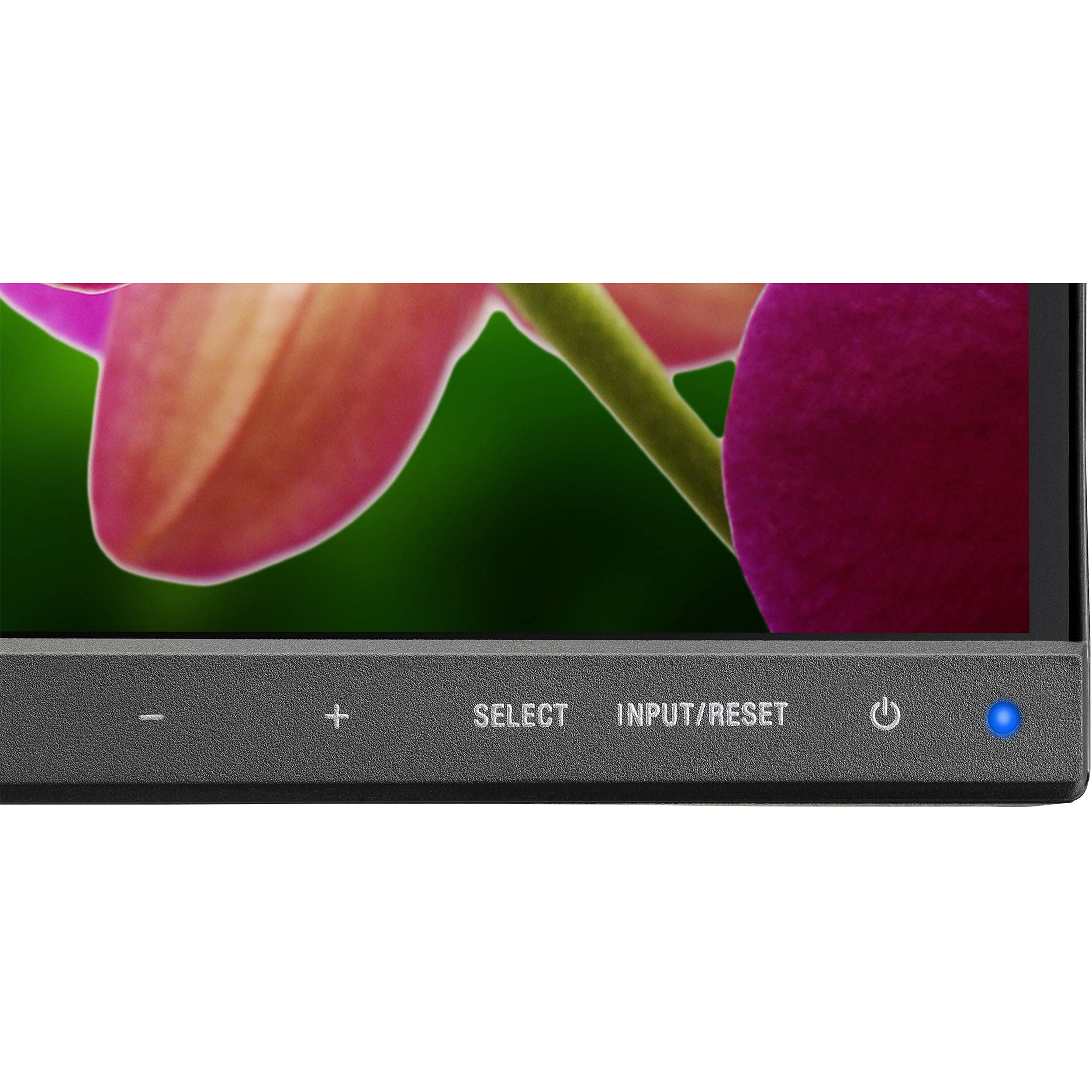 ホアン NEC 24インチx2 ホアン NEC 24インチx2 Amazon.com: NEC 24