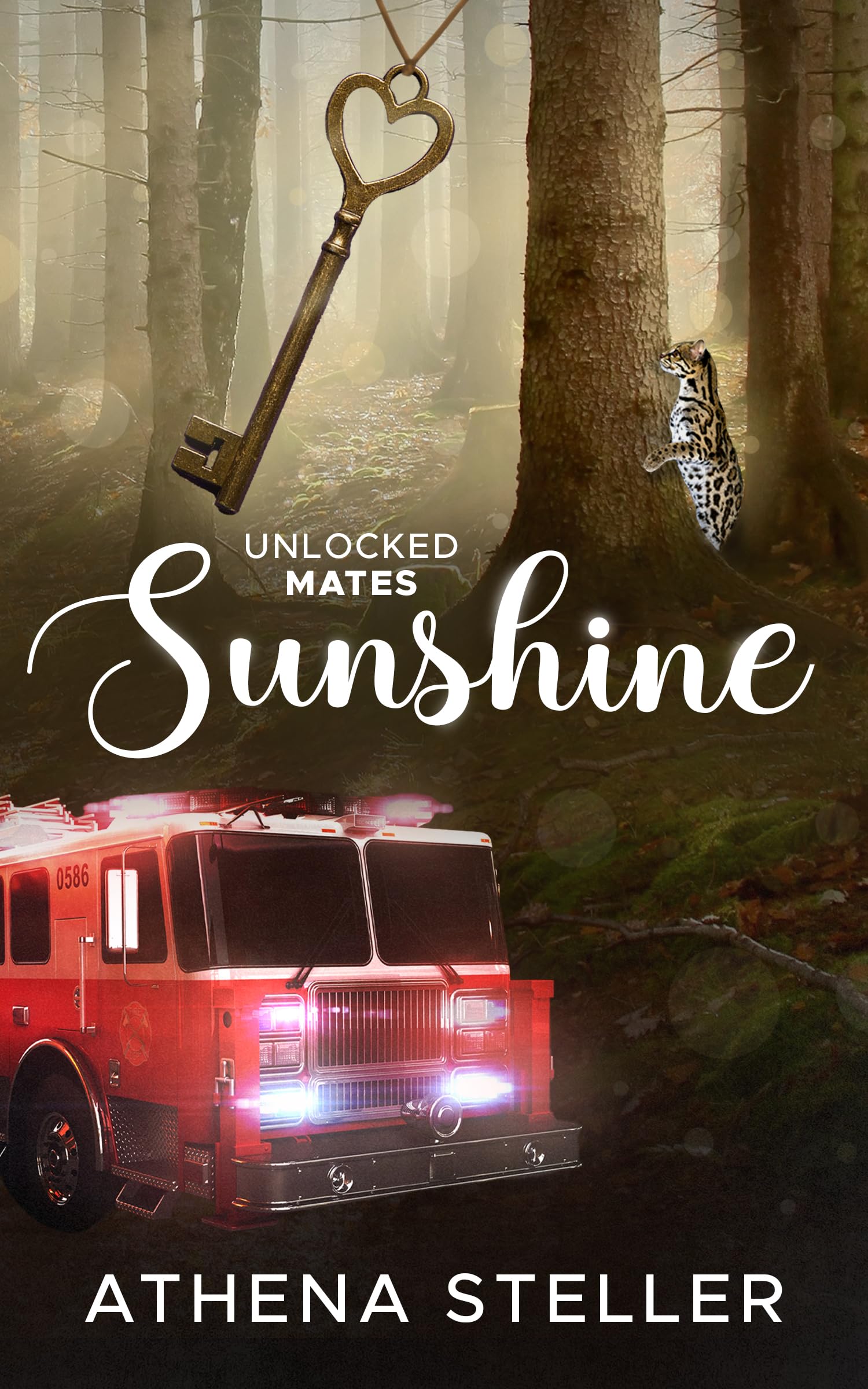 Sunshine: Unlocked mates Book 11