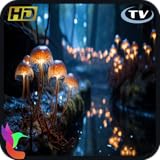 魔法のキノコの森 4K - 眠りのための魔法のフルートと自然の音