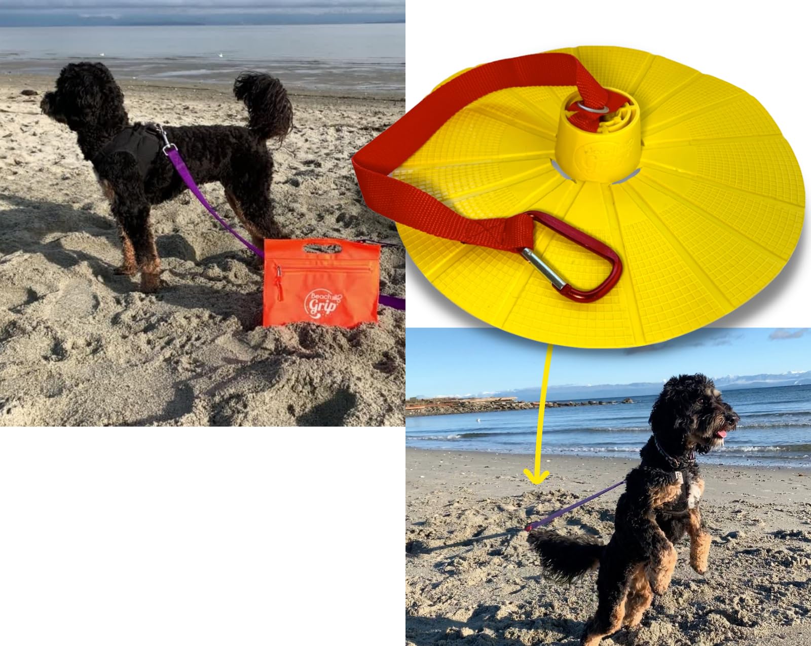 BeachGrip Ancoraggio per cani da spiaggia, progettato per funzionare nella sabbia, piccolo, leggero, facile da usare e durevole, l'accessorio per portare il vostro amico a quattro zampe in spiaggia