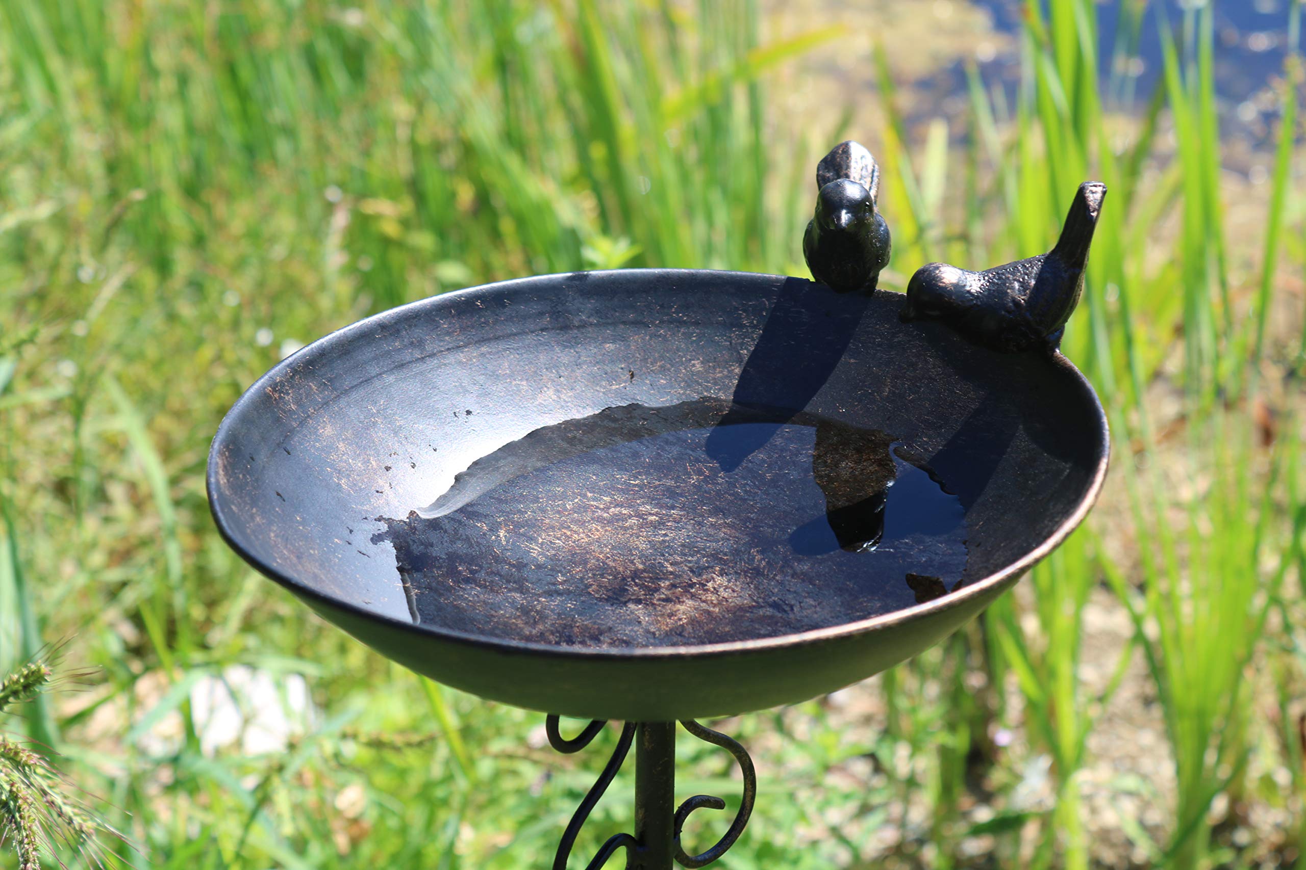AmaCasa Vogeltränke Vogelbad Vogelbecken Wassertränke Tränke Wasserschale Stecker Braun Eisen