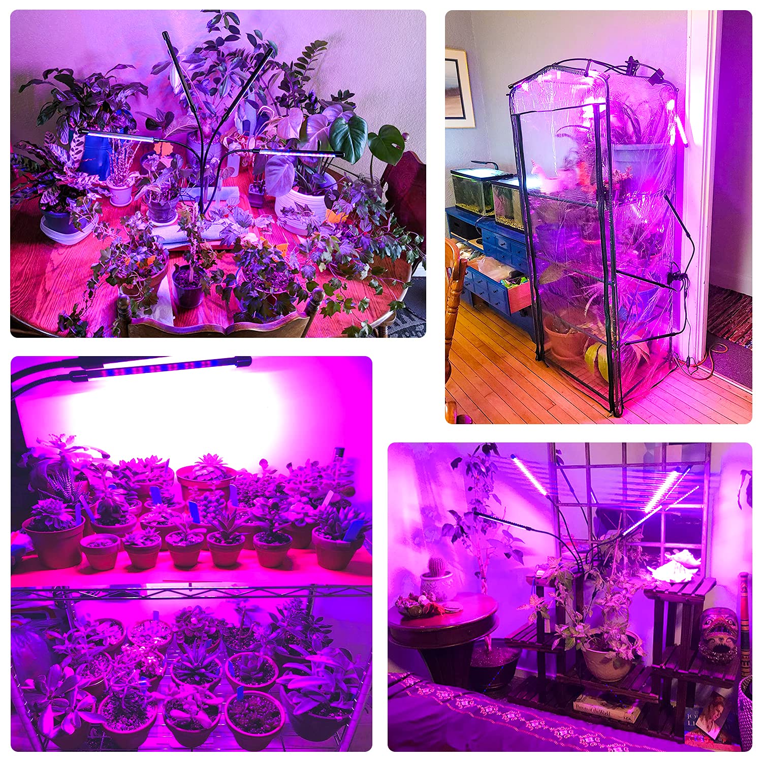 wolezek Lampada per Piante, 2020 Lampada Piante Coltivazione 40W 80LEDs Spettro Completo per Piante Da Interno, con Timer 4/8/12H ，3 Modo/10 Luminosità Grow Light per Crescita, Fioritura