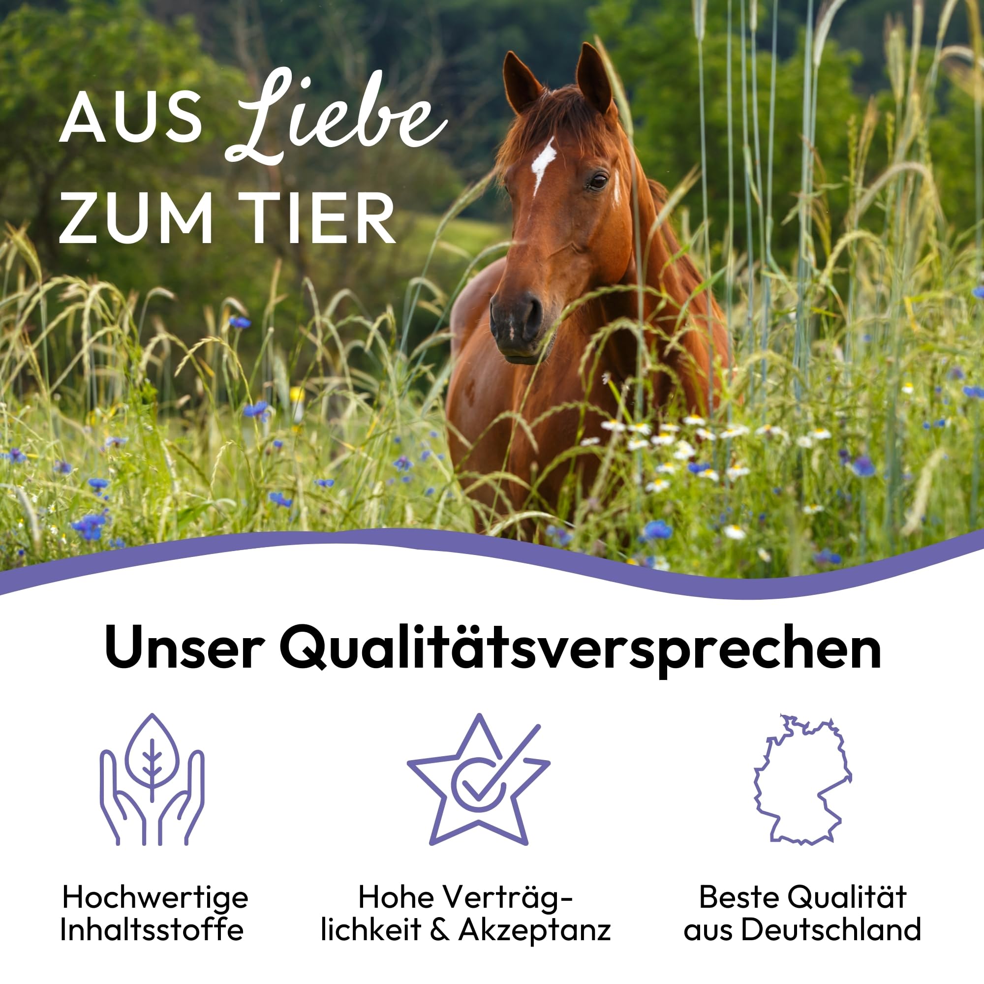 PHA Liquide Anti-Stress pour Chevaux - Soutien Naturel en Cas de nervosité, d'anxiété et de Stress - avec Vitamine B12, magnésium, Calcium, Zinc et tryptophane - 1 l