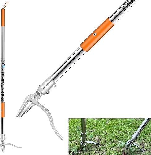 YYMIYU Herramienta extractor de malezas de pie de 52 pulgadas  Desbrozadora de acero inoxidable de 4 garras con diseño de empuje de césped y