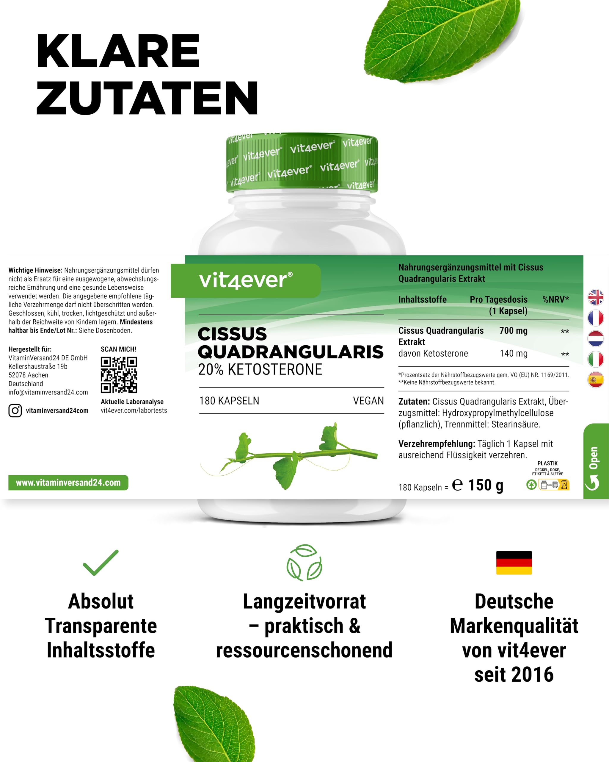 vit4ever Cissus Quadrangularis - 180 Kapseln - 700mg - 20% Ketosterone | 700mg Extrakt pro Kapsel, 140mg Ketosterone, 6 Monate Vorrat