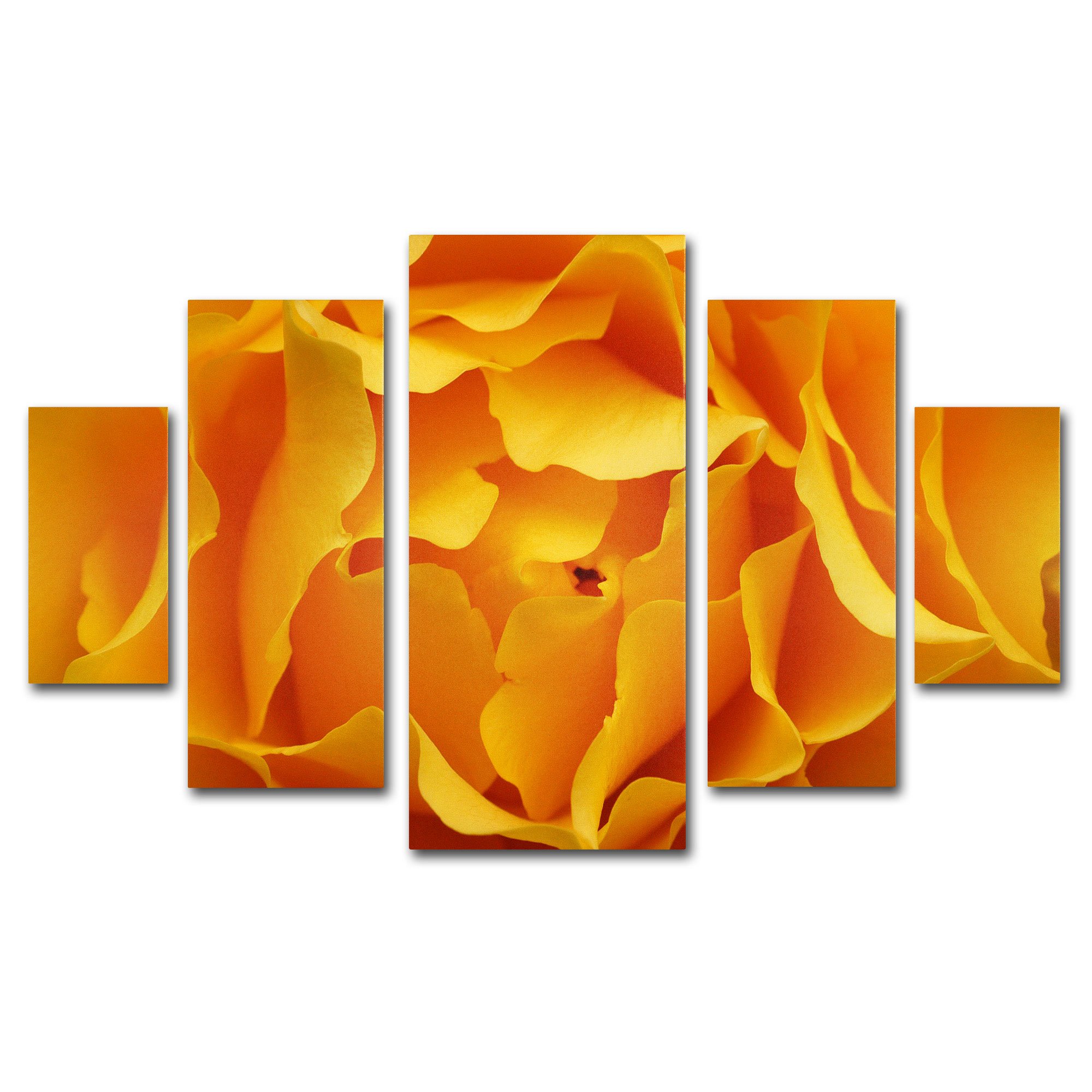 Trademark Fine Art Hypnotic Yellow Rose Multi Panel Art Set by Kurt Shaffer