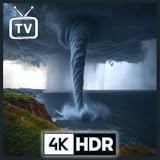 tornado aspirateur Idéal pour ceux qui recherchent des sons d'ambiance intenses