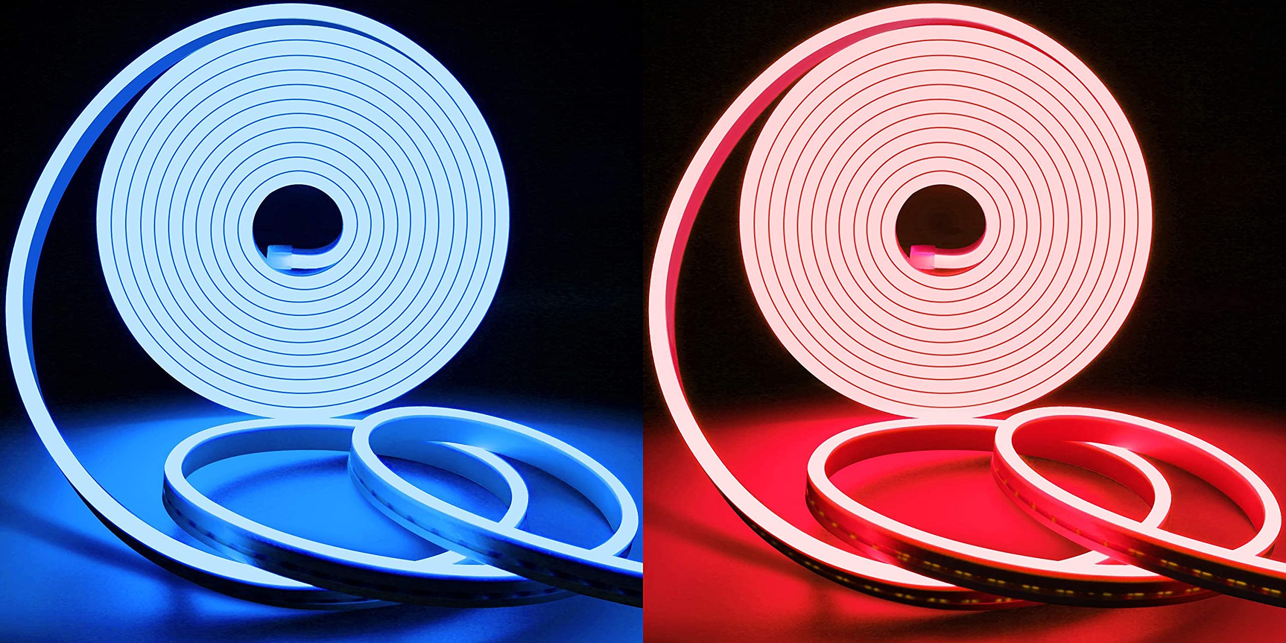 Buy Lamomo LED Strip Lights Neon Rope Lights 12V Dimmable Led Strip