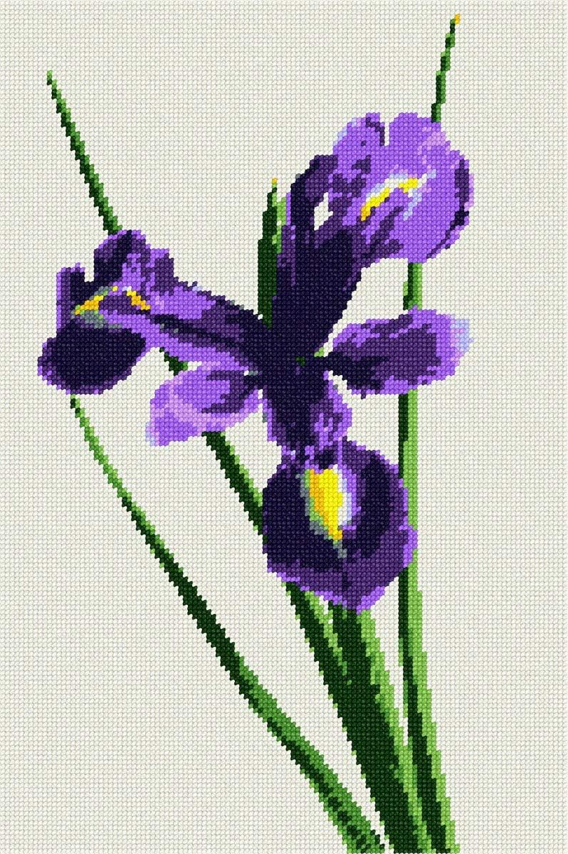 Pepita Needlepoint kit: Iris Beauty, 9" x 14"
