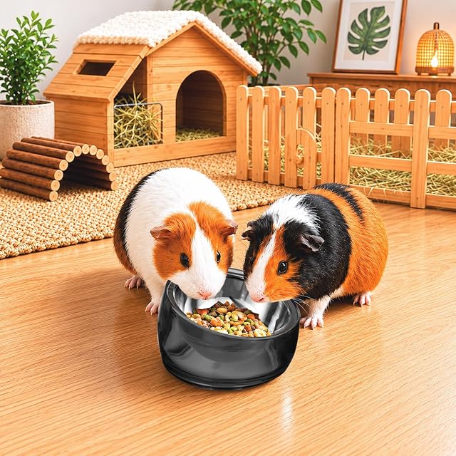 Foto 7 de 8 de Felli Oblik - Cuencos inclinados de 15° para animales pequeños para comida y agua para mascotas, plato…