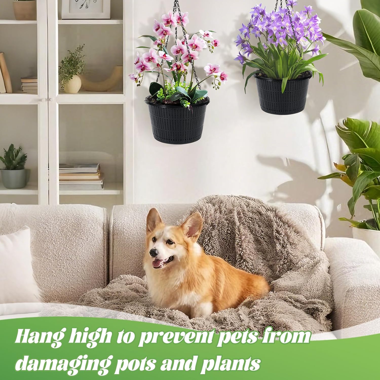 4 Packs Orchid Hanging Planter with Hangers 8.3 Diameter Orchid Hanging Planter with Hangers Plastic Plant Hanger Orchid Basket with Chain for Indoor or Outdoor Including 4pcs Adjustable Chains