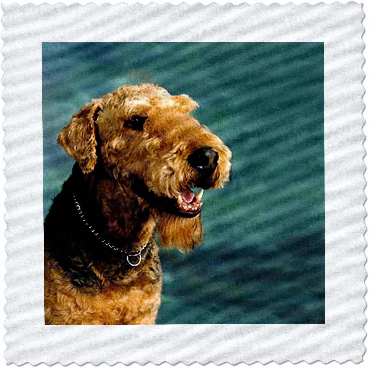 3dRose qs_854_8 Airedale Terrier Quilt Square, 20 by 20-Inch