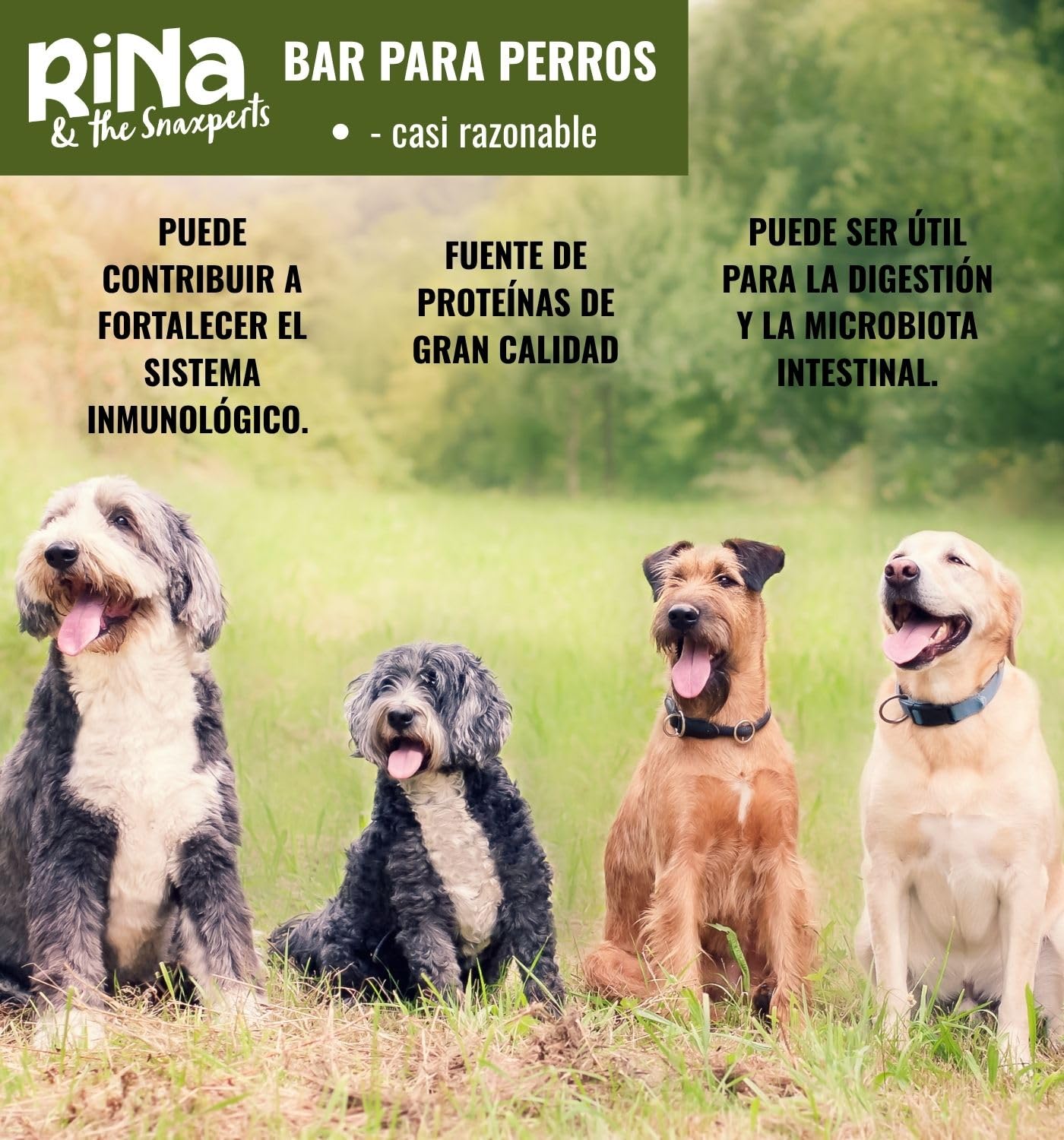 RiNa - Caja para golosinas para perros (6 x 10 cm, con carne de pato, brócoli, plátano y rumen verde)