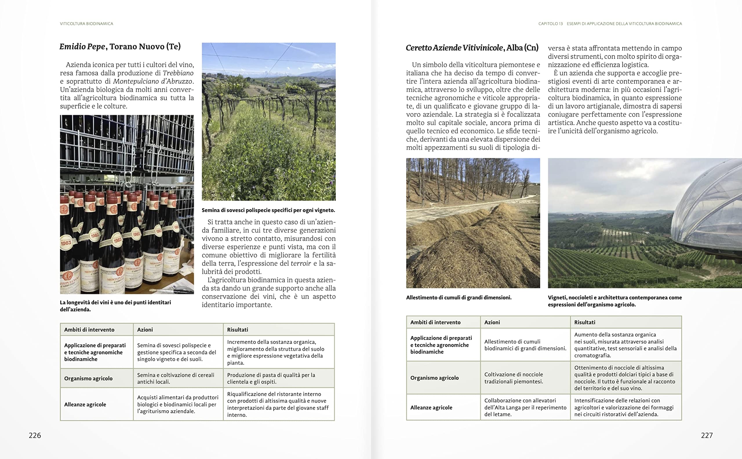 Manuale di viticoltura biodinamica. La prima guida pratica per applicare il metodo agricolo biodinamico al vigneto. Ediz. illustrata
