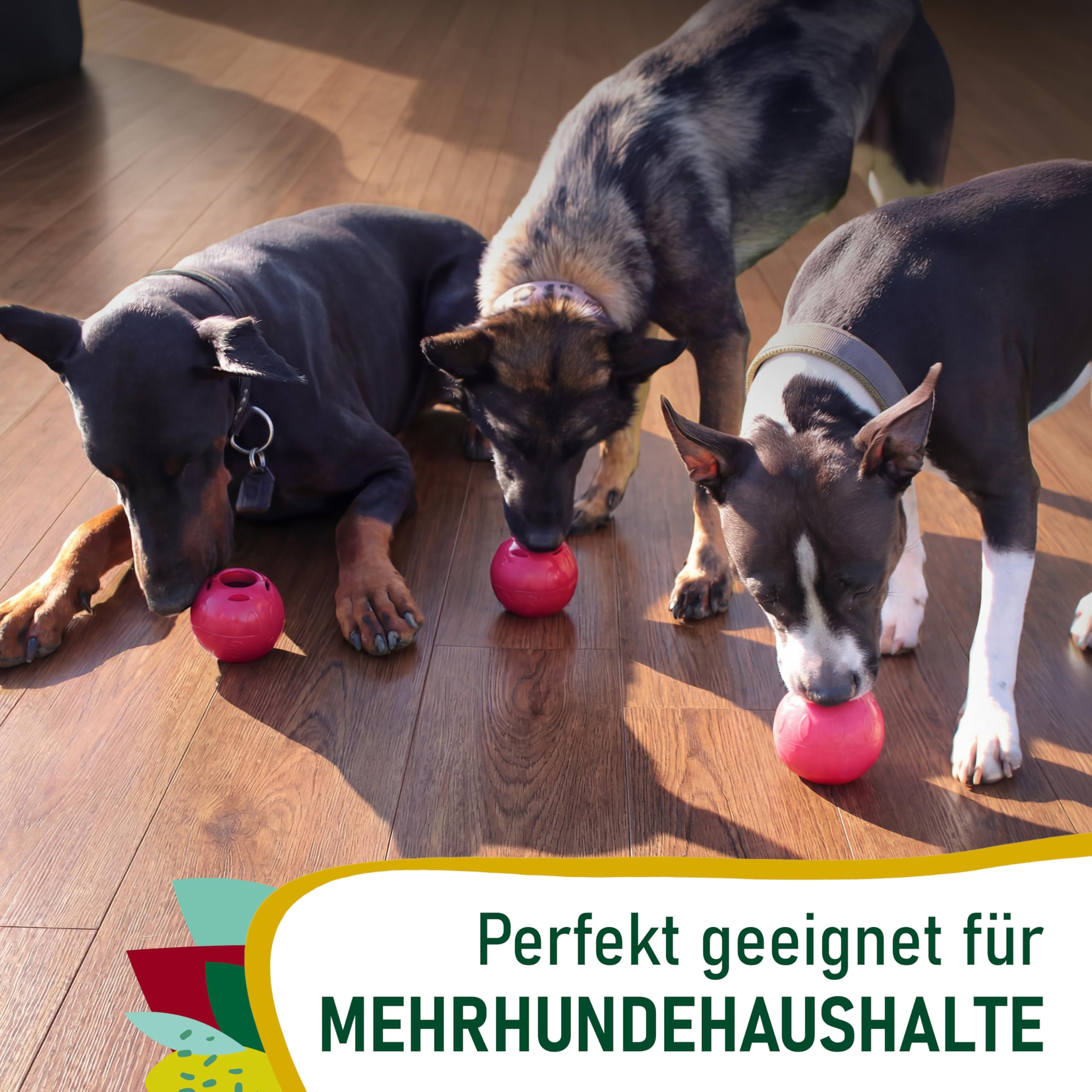 SmoothieDog Schleckball-Set + 1 Schleckball - Schleckball für Hunde, Snackball, für Mehrhundehaushalte, zur Beschäftigung, bpa frei, robust, befüllbar, zum einfrieren, spülmaschinenfest