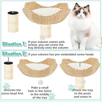 Shamrock ★ Cat  Amazon.com : Dansydaisy 3 Set 18