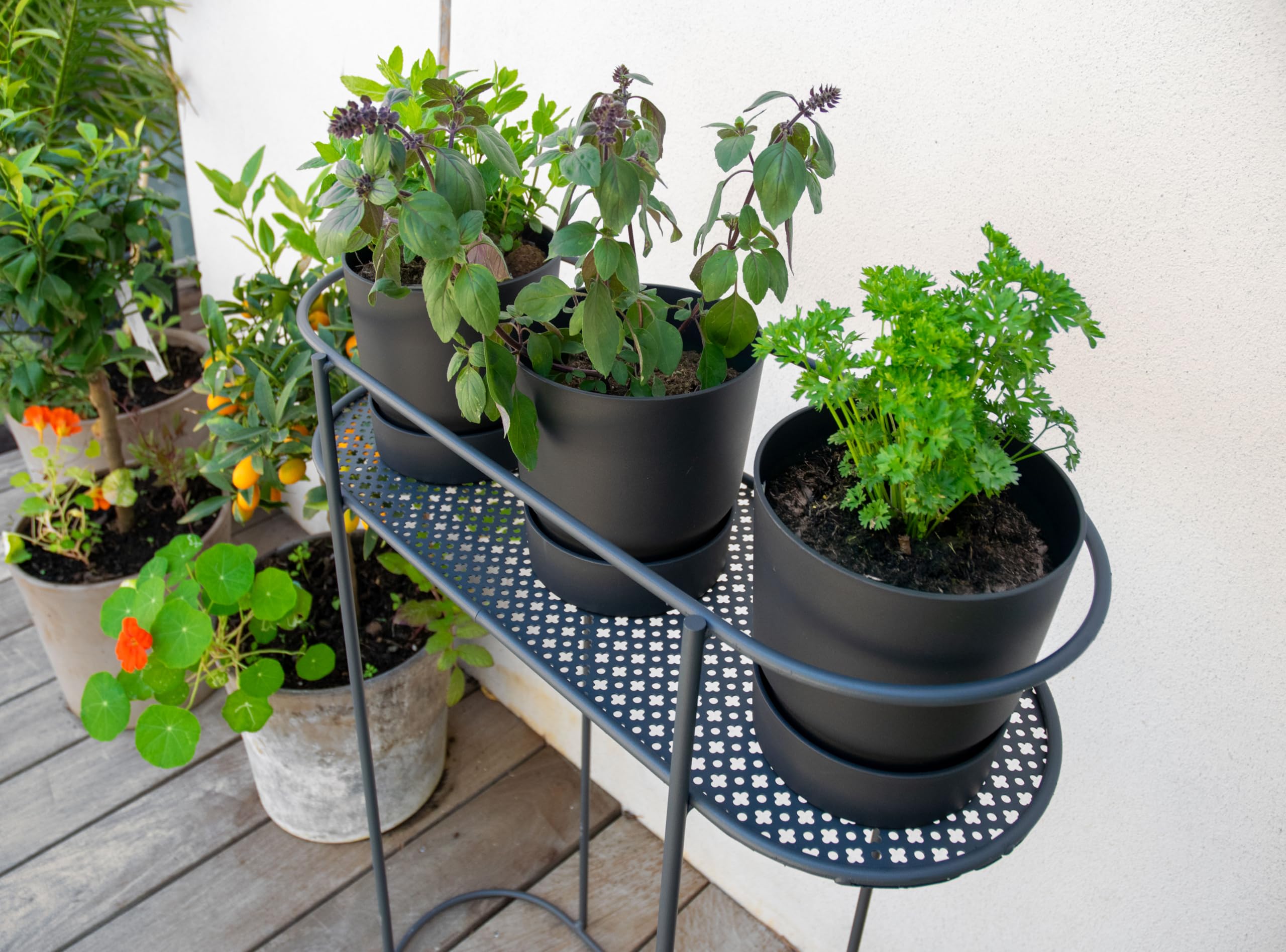 Louis Moulin Support plantes et aromatiques sur Pieds, 80 cm de Hauteur, Anthracite, Fabriqué en France