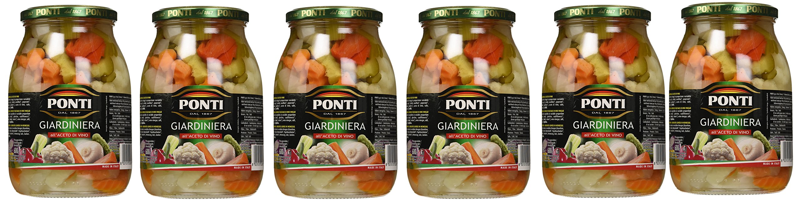 Ponti Giardiniera, T6 - 6 Vasi da 980 gr