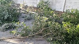 Review Image by How products work How products work