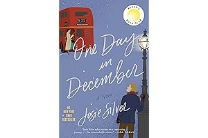 One Day in December: A Novel