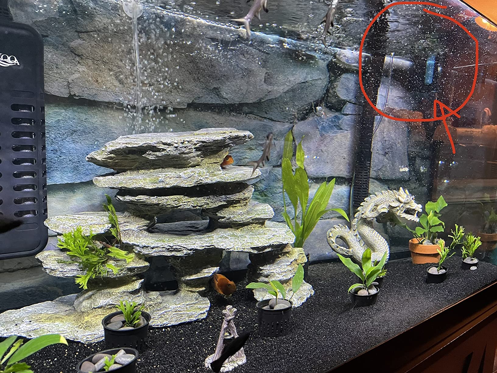 17/mo Finance Unscripted Aquarium Clarifier Keeps Water Clear