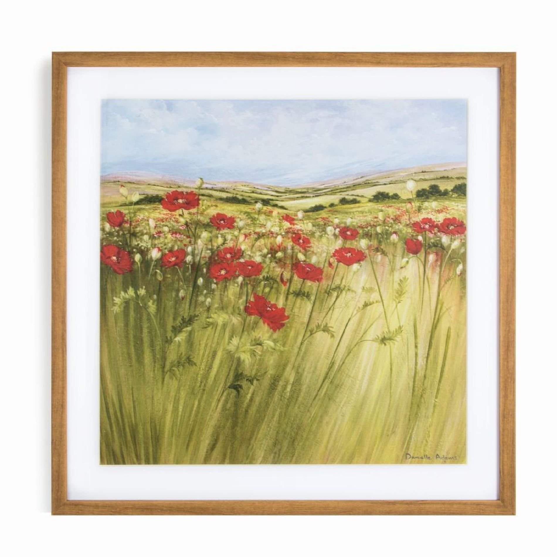 Art For The Home Poppy Meadow Framed Print Wall Art